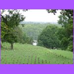 National Cemetary - Civil War Site.jpg